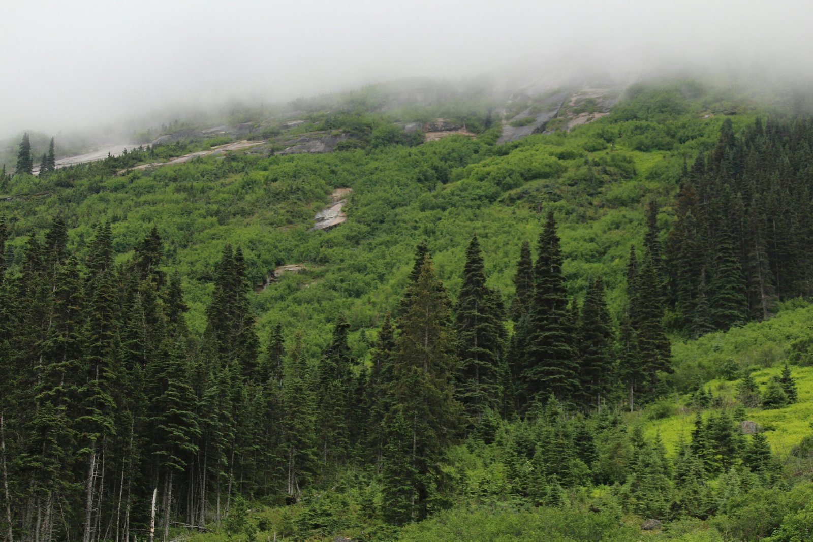 Nature